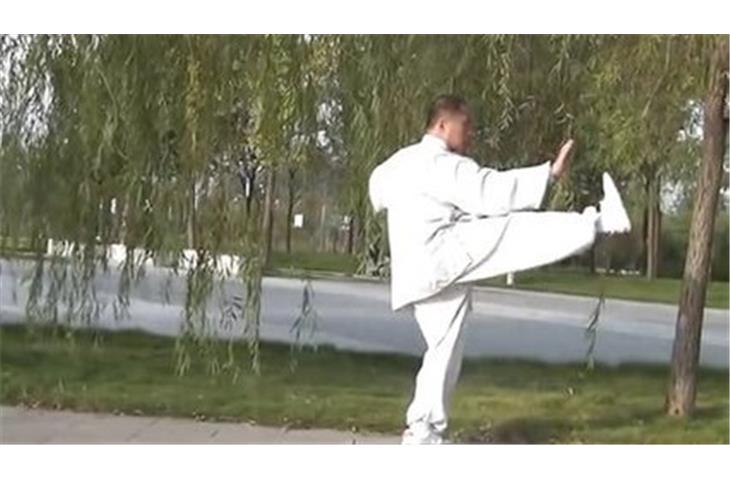 Exploring the Essence of Tai Chi Wear: Style, Comfort, Tradition  Performance