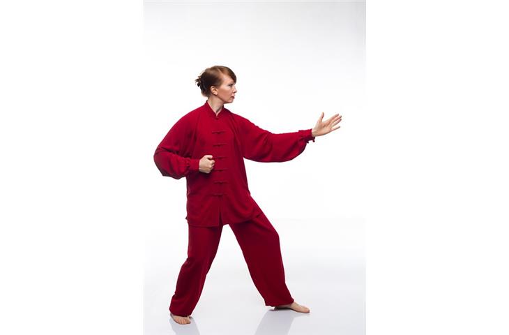 Distinctives of Qigong vs. Tai Chi