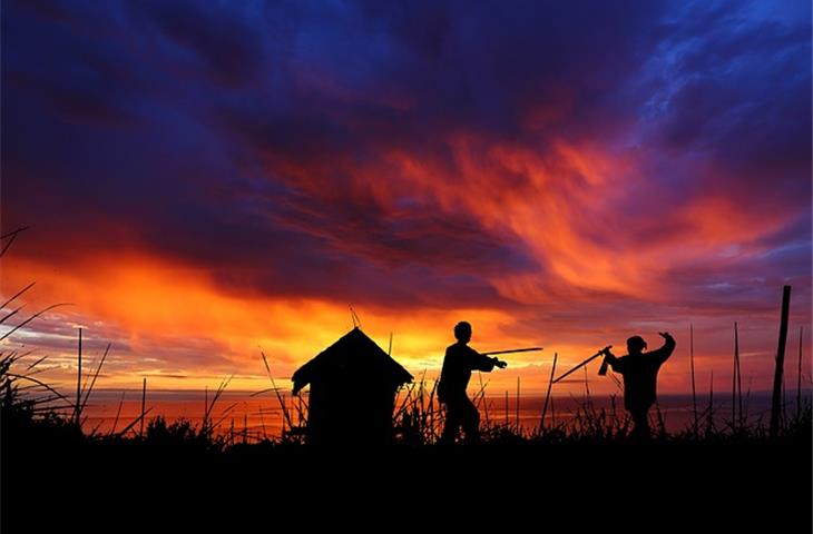 Tai Chi Movements: A Window into Ancient Artistry