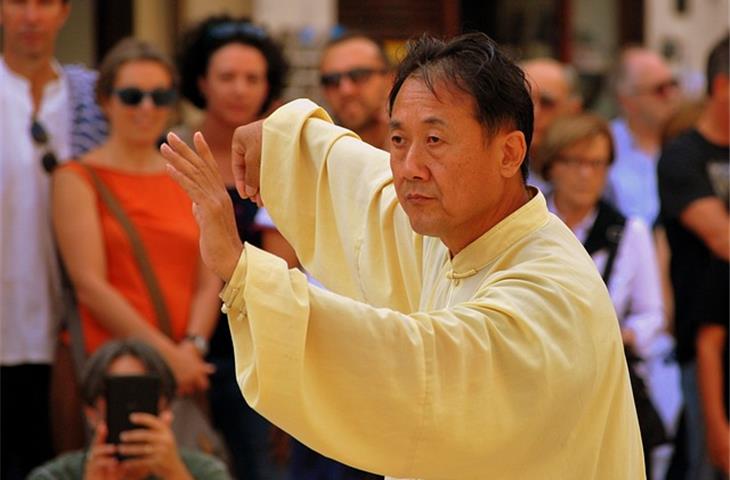 Step-by-Step Guide to 24 Form Tai Chi PDF