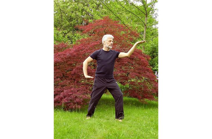 mastering tai chi