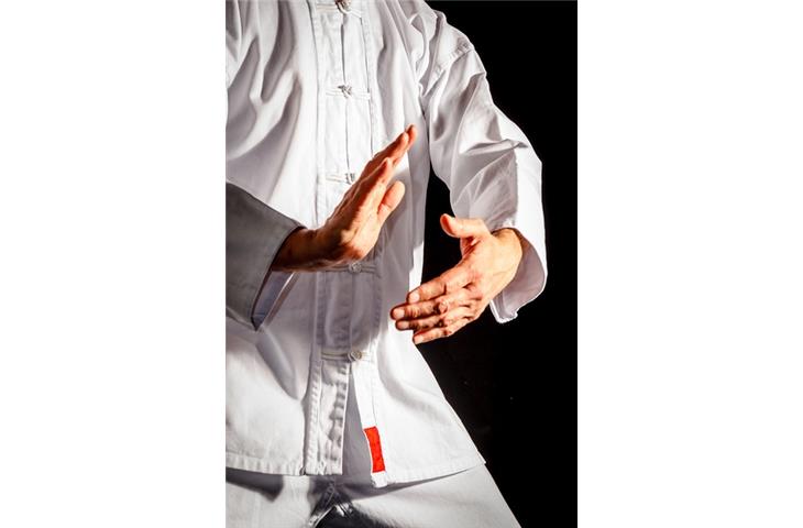 online tai chi