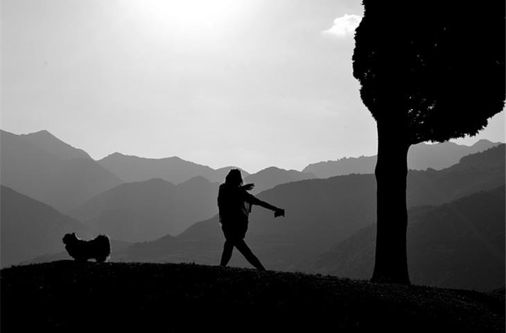 tai chi weapons