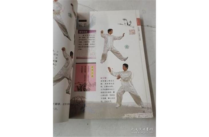 qi gong vs tai chi