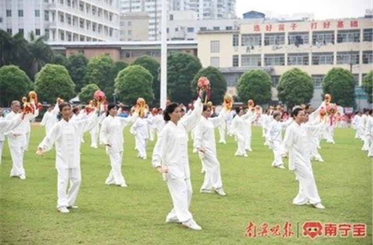 tai chi martial arts