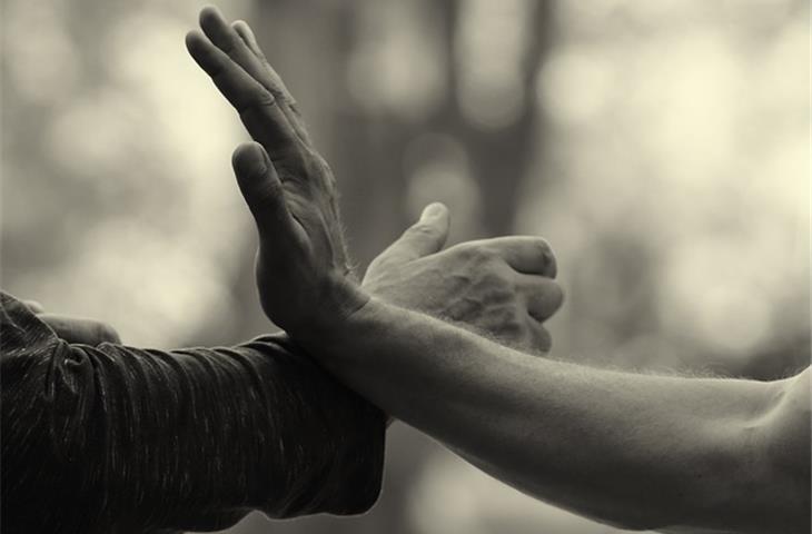 brain and body yoga and tai chi